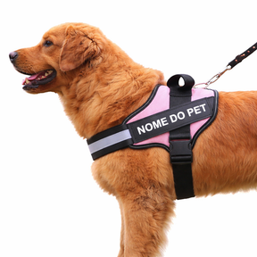 Peitoral Para Cachorros Ajustável com Nome Personalizável