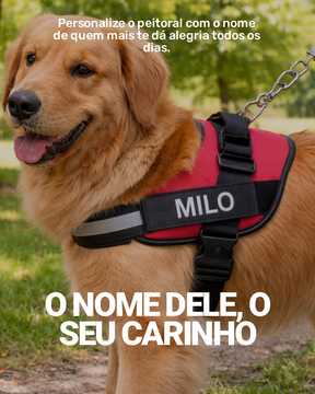 Peitoral Para Cachorros Ajustável com Nome Personalizável