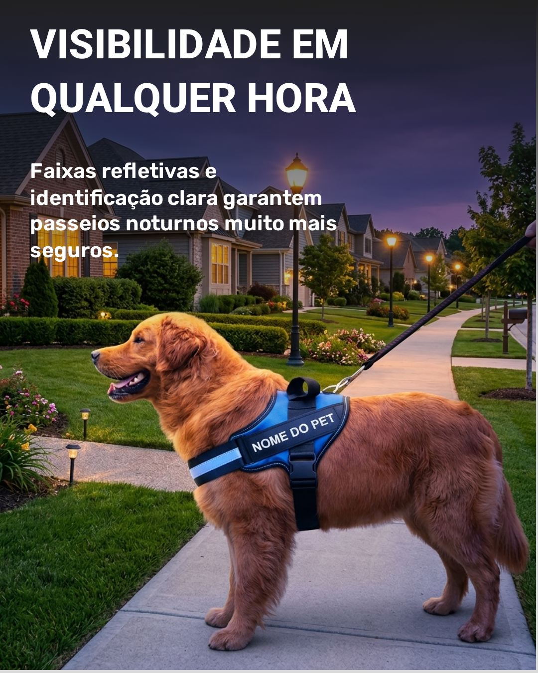 Peitoral Para Cachorros Ajustável com Nome Personalizável