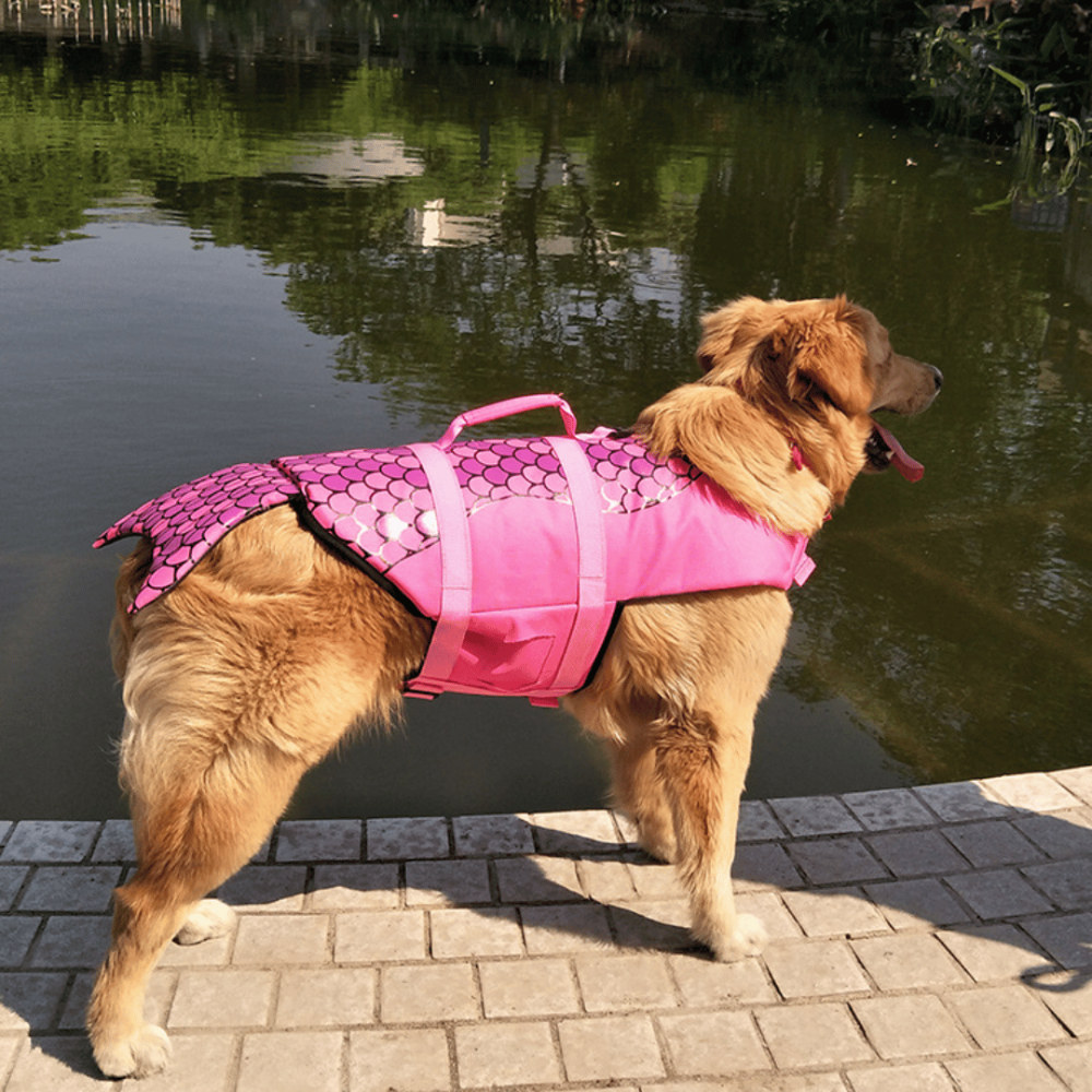 Colete Pet Salva-Vidas Shark para Cachorros