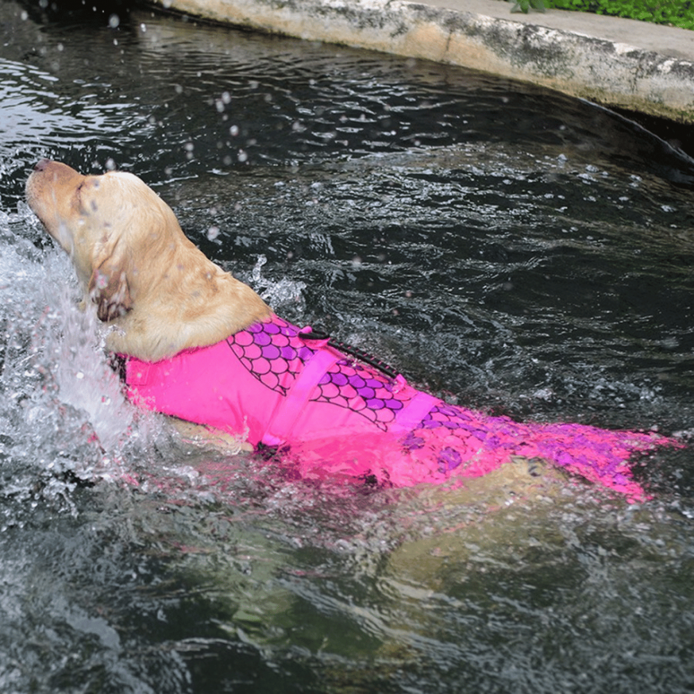 Colete Pet Salva-Vidas Shark para Cachorros